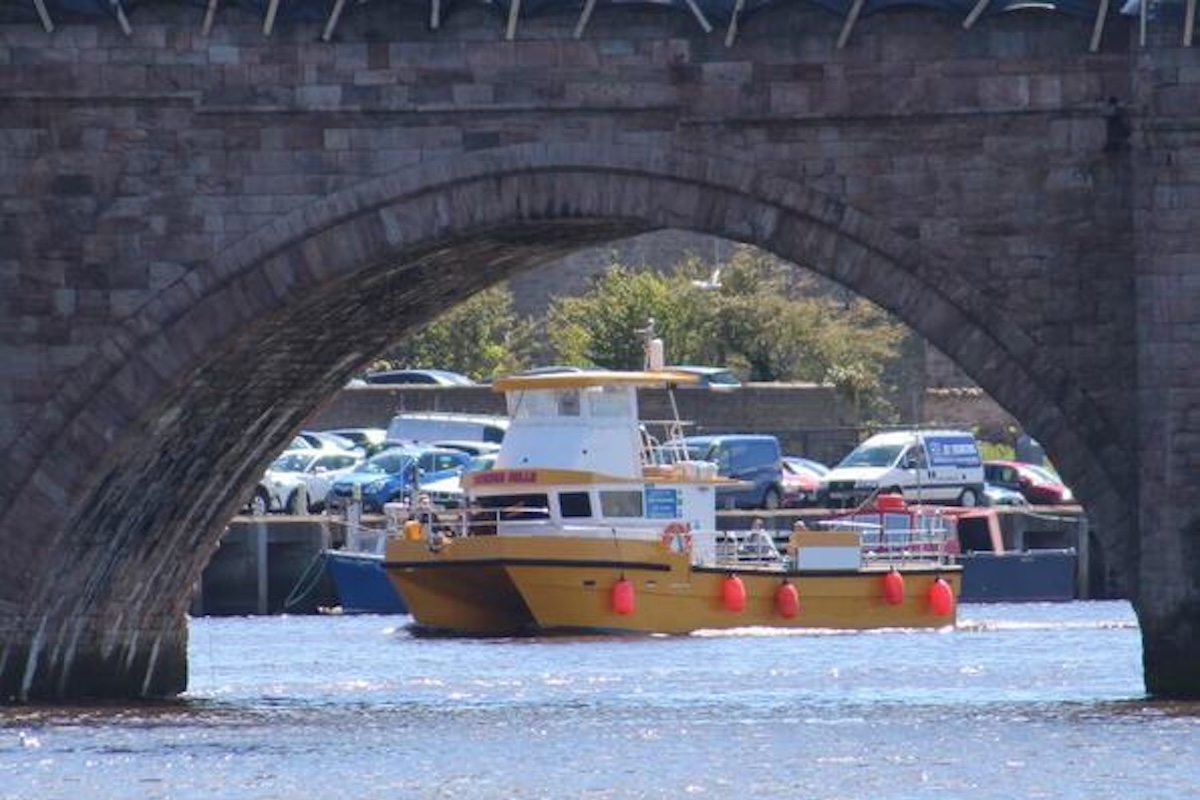 Berwick Boat Trips