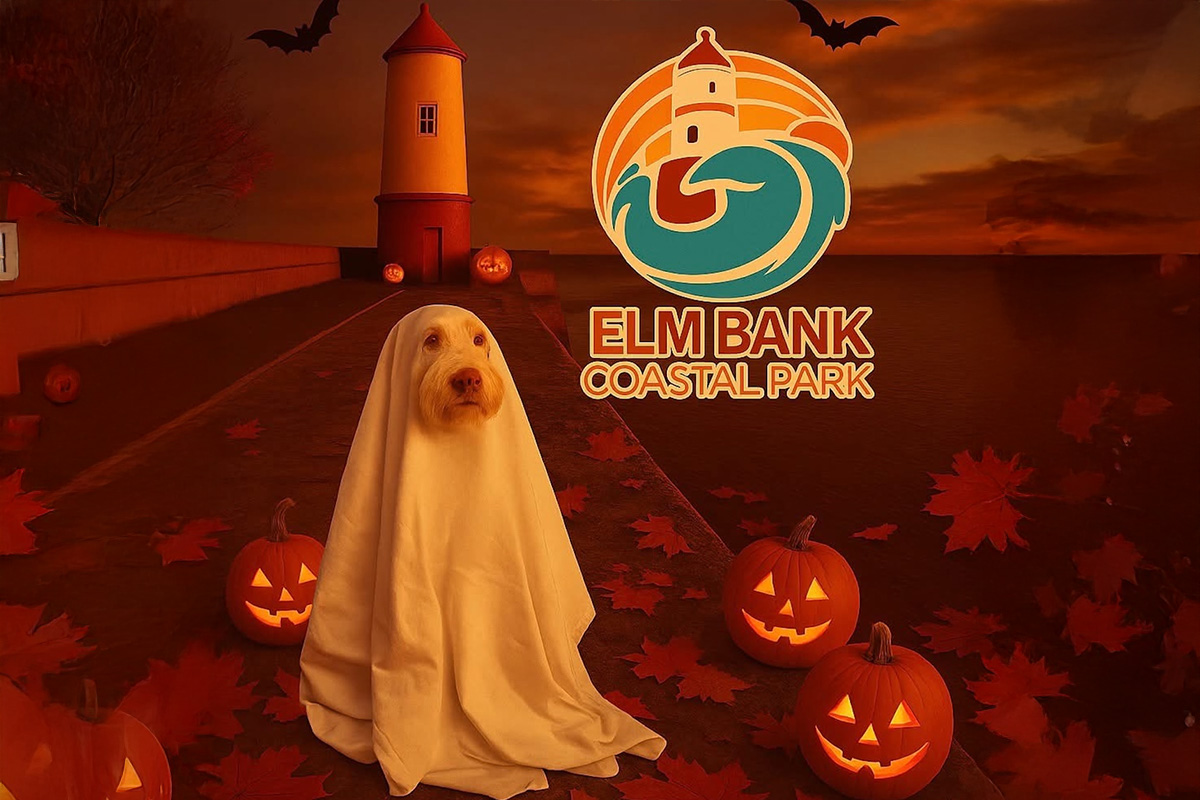 Elmbank Halloween Event