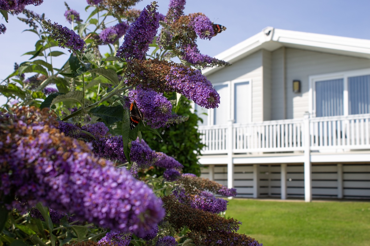 Nature Block On About Us