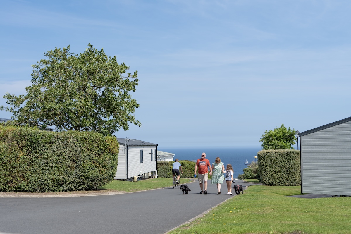 Whats included in the offer block free site fees