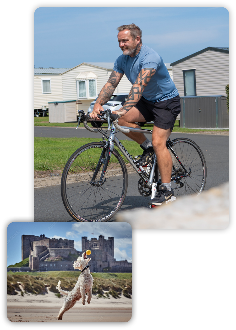 discover elm bank block on free site fees page