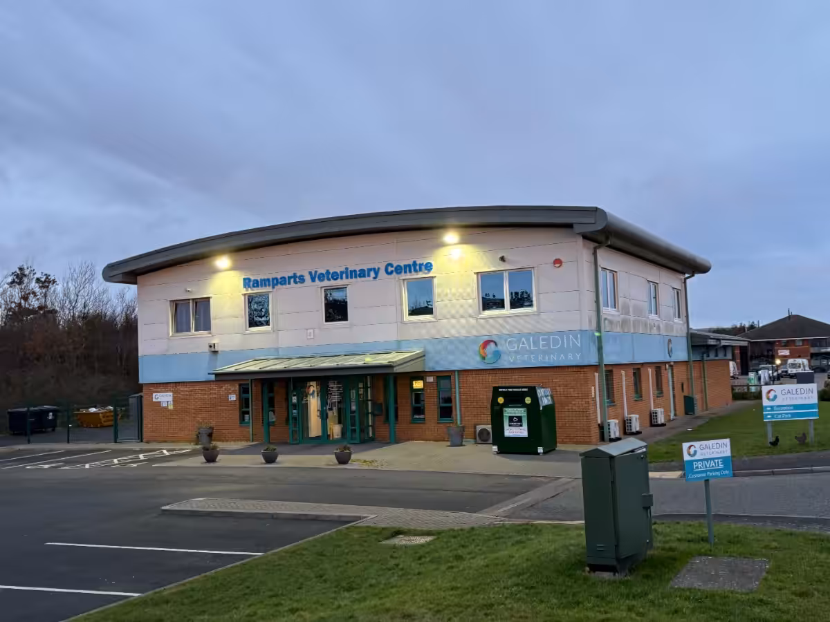 Galedin Veterinary Berwick located just a short drive from Elm Bank Coastal Park
