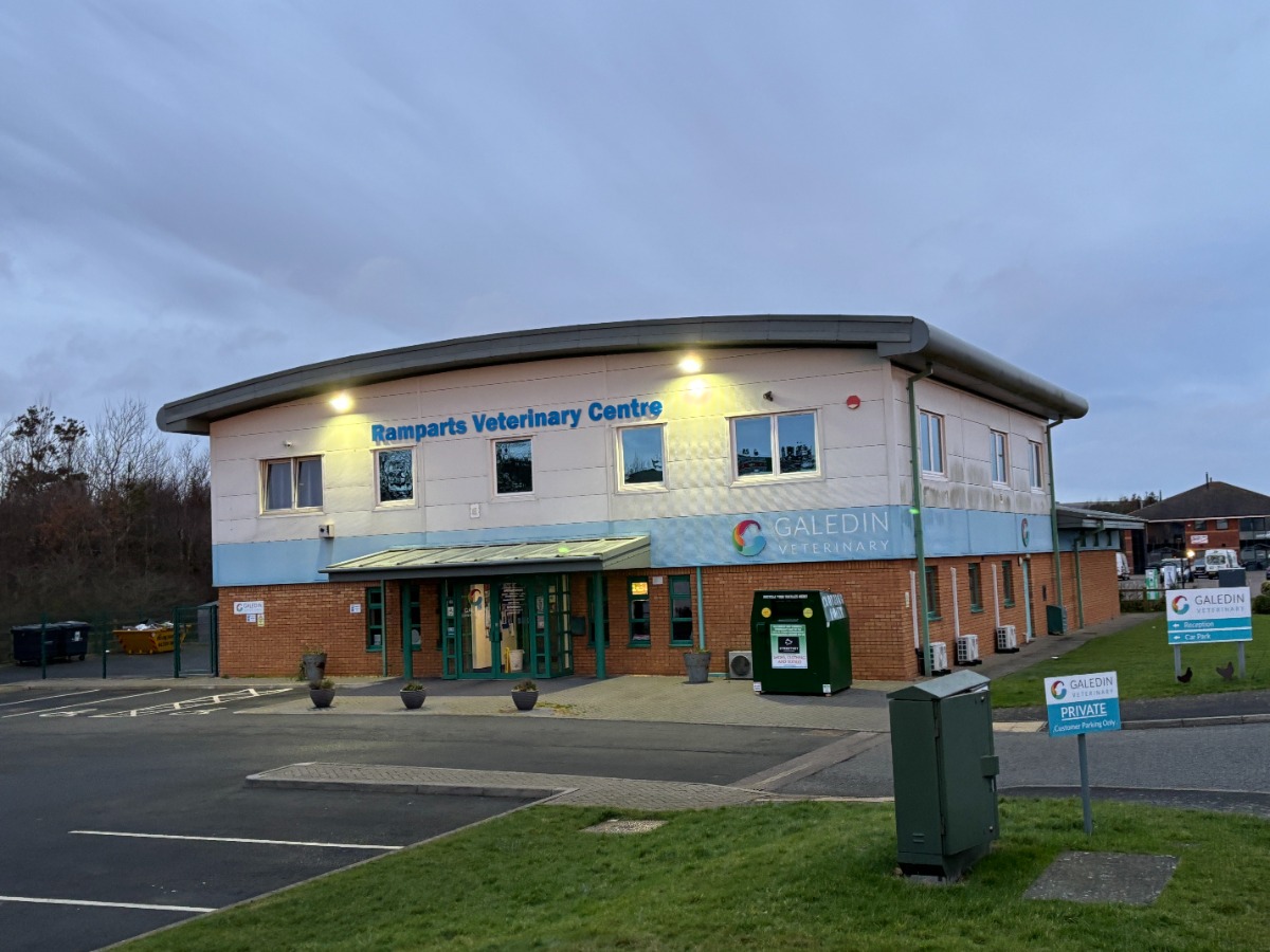 Galedin Veterinary Berwick located just a short drive from Elm Bank Coastal Park